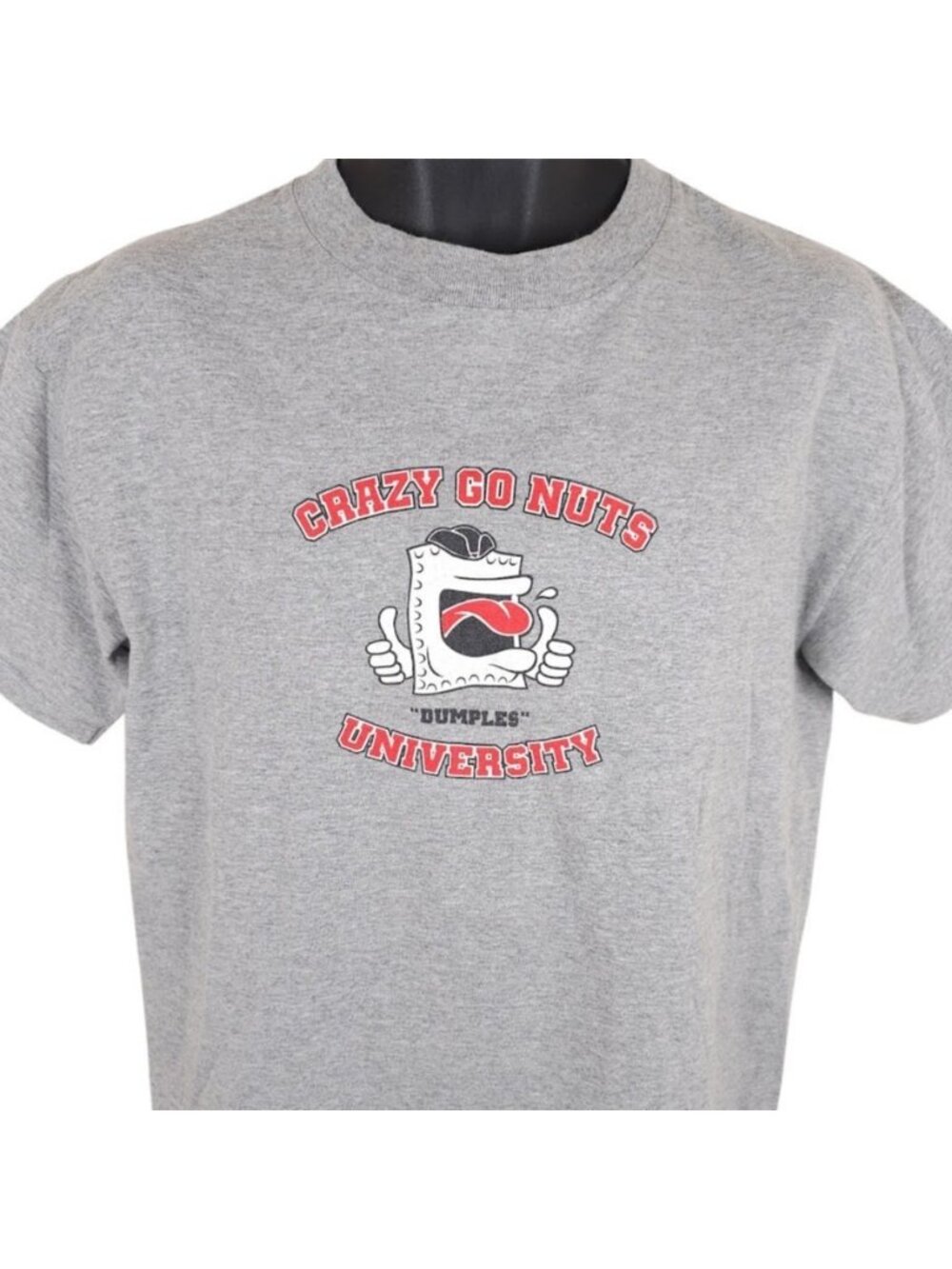 Vintage Homestar Runner T Shirt Mens Size Medium Gray Y2K Crazy Go Nuts CGNU